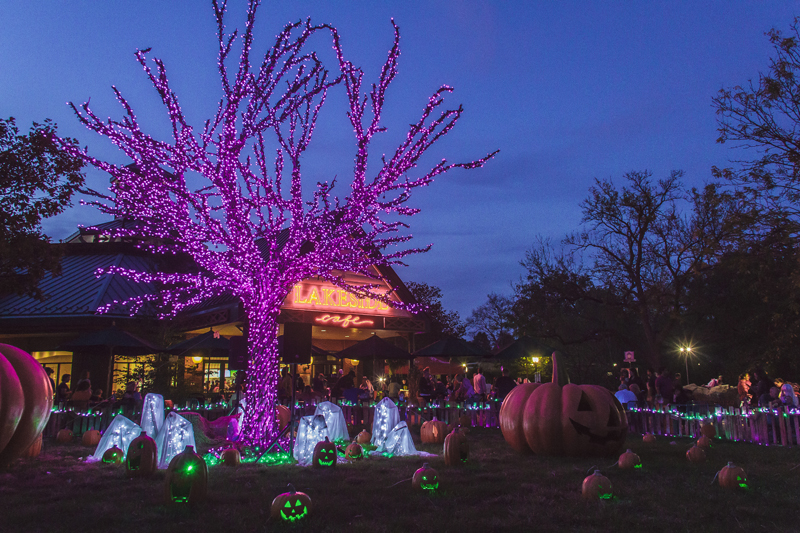 Boo Nights At The Saint Louis Zoo Clayton Times