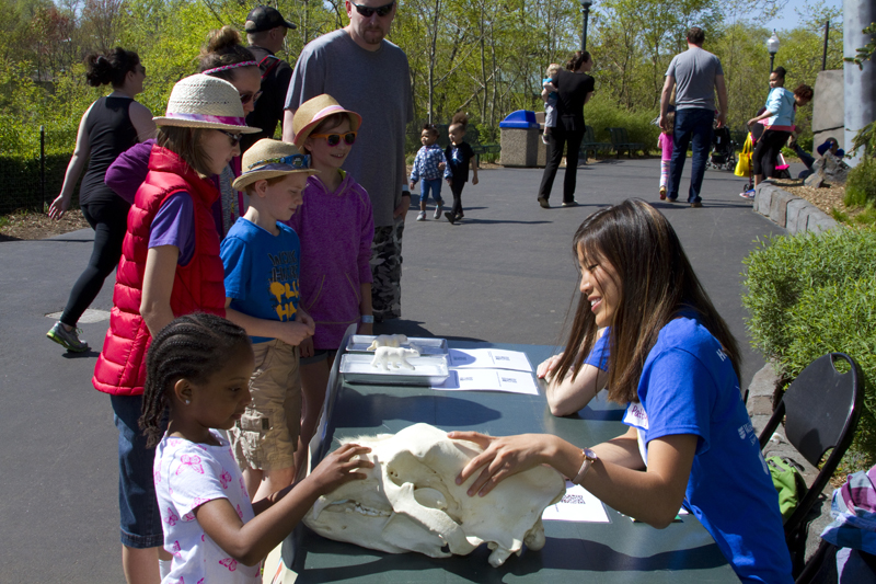 Release One Health Fair Is April 14 At The Saint Louis Zoo